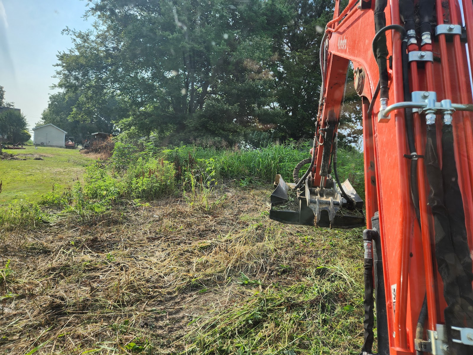 Excavator clearing brush from an overgrown lot