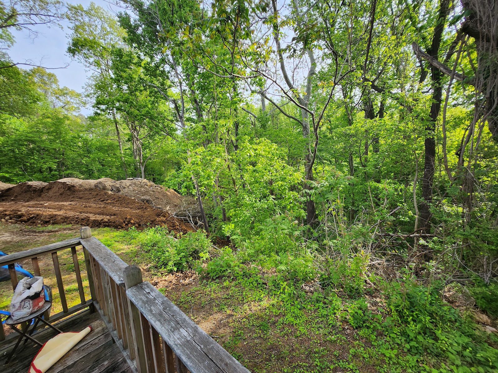 West Tennessee property during clearing work